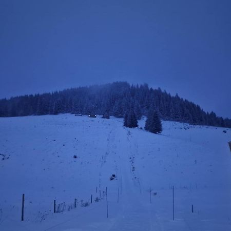 Aa Frame Retreat フンダタ エクステリア 写真